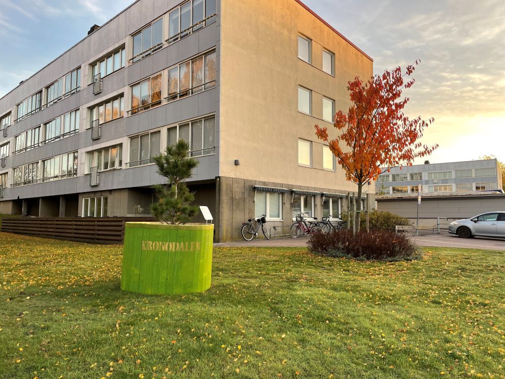 Träd i stor planteringstunna