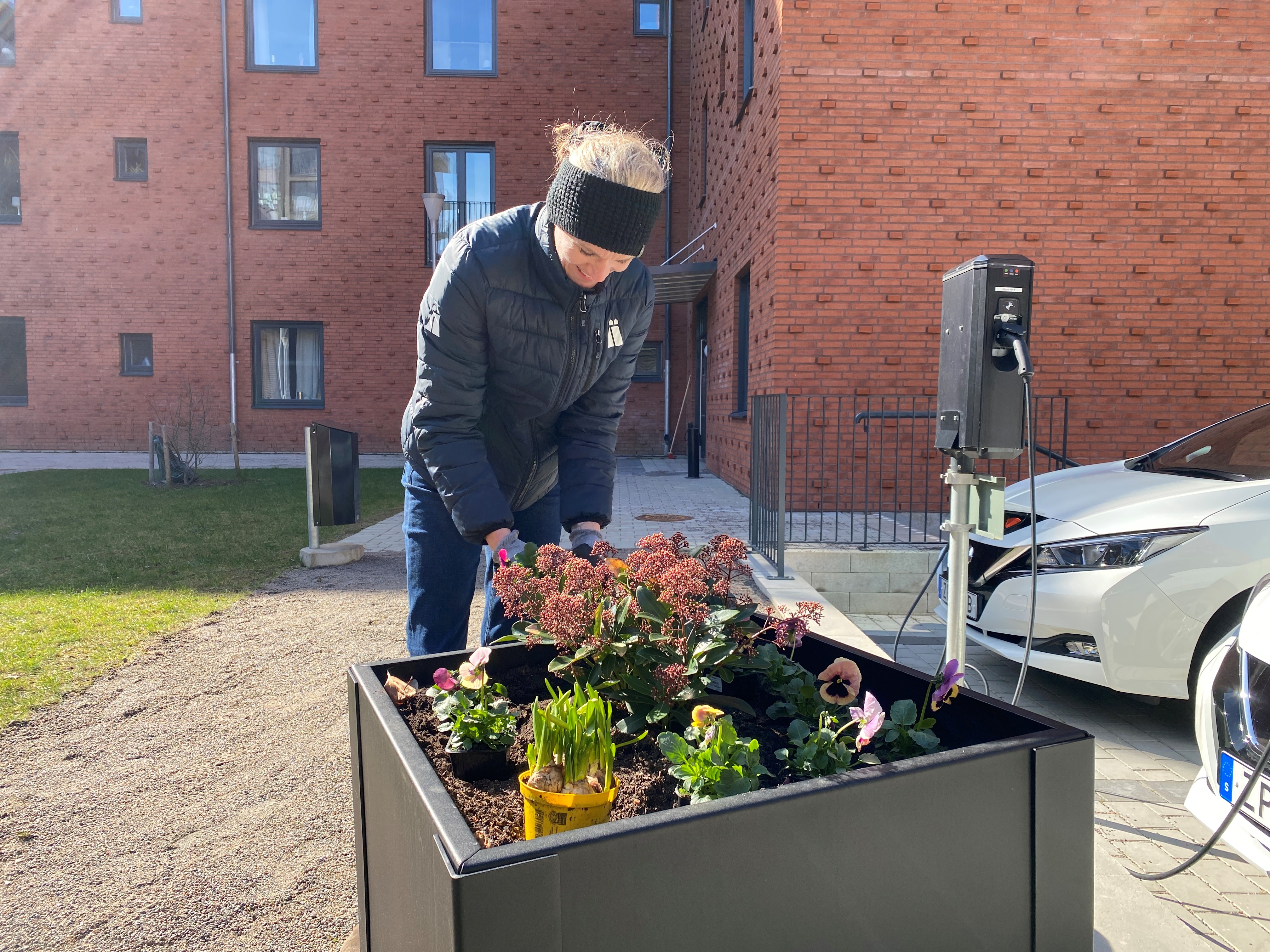 Kvinna står och planterar i en stor kruka
