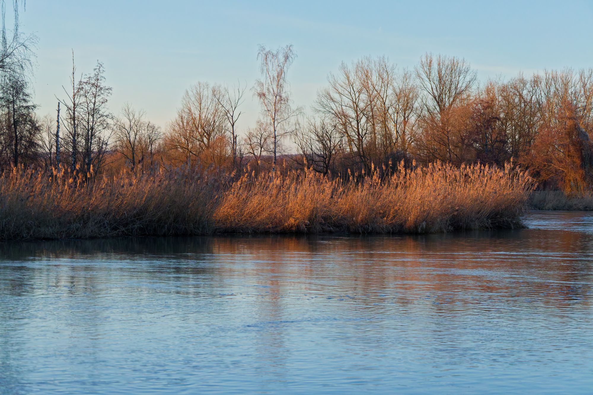 Vattendrag på vintern