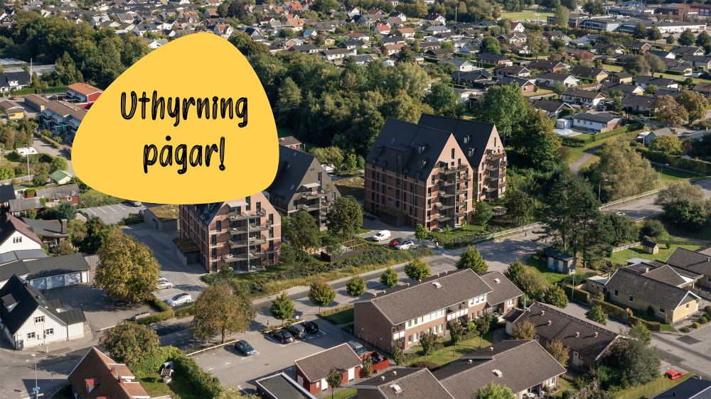 Översiktsbild bostadsområdet